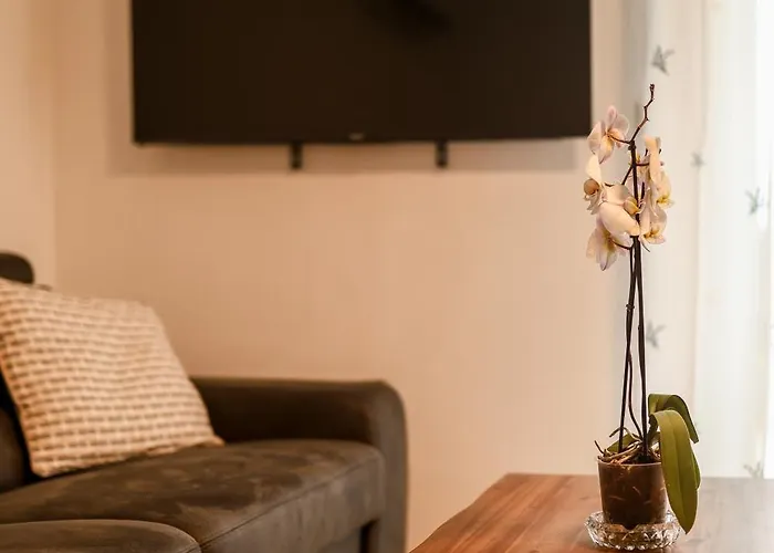 Apartment Sabun Nin
